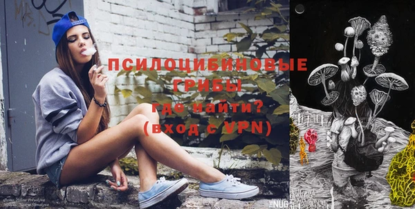 a pvp Корсаков