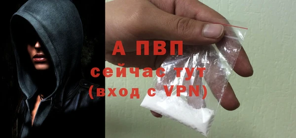 a pvp Корсаков