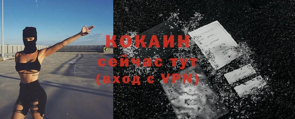 МДПВ Козловка